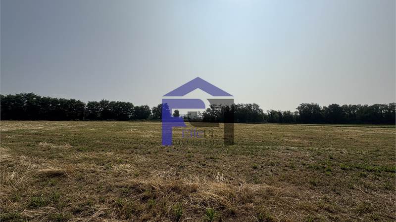 TERRENO AGRICOLO PIANEGGIANTE DI CIRCA MQ. 10.000